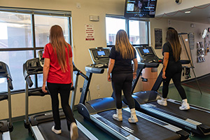 Students working out in the Wellness Center