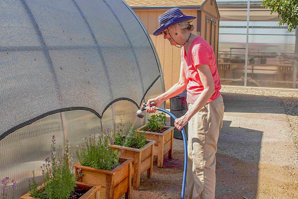 Volunteers working together in the UNM-Valencia Community Garden