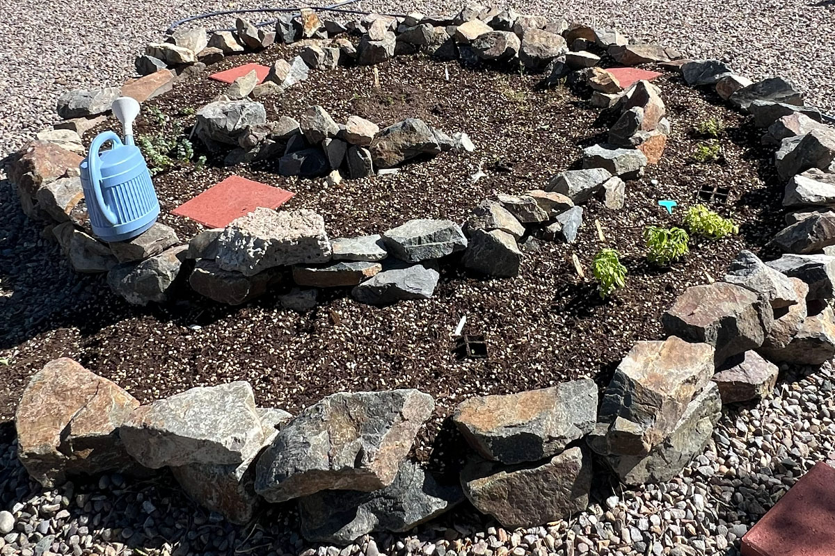 Wide view of garden beds at the UNM-Valencia Community Garden