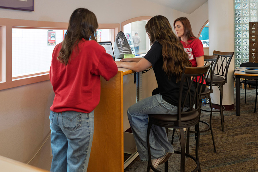 Students studying in the library