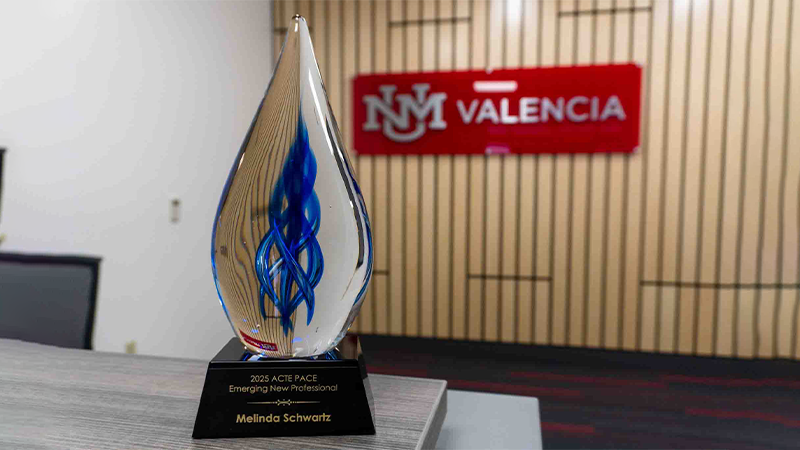 Emerging new professional award