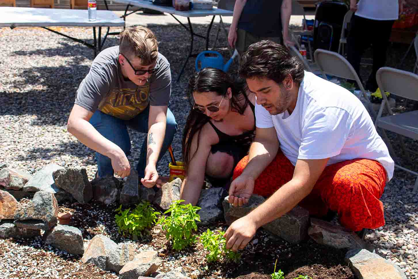 Garden planting