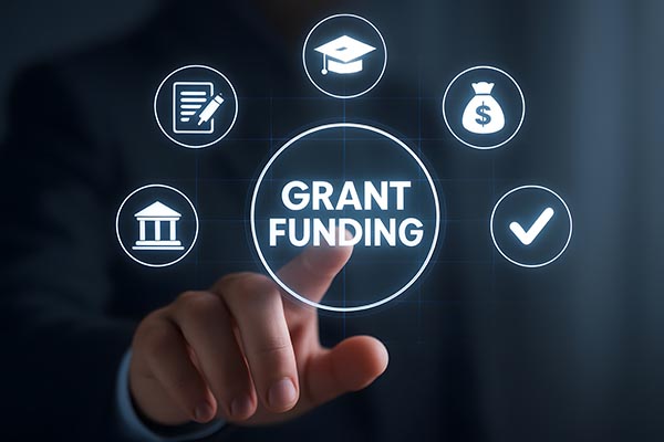Professional Grant Writing